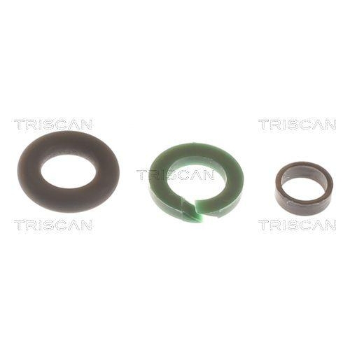 TRISCAN Dichtungssatz, Einspritzdüse 596-1007
