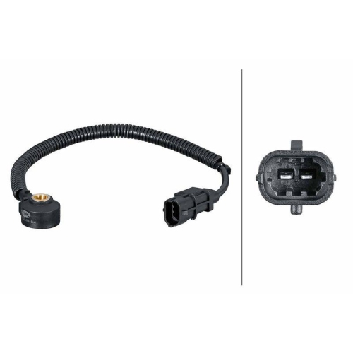 HELLA Klopfsensor 6PG 013 114-841