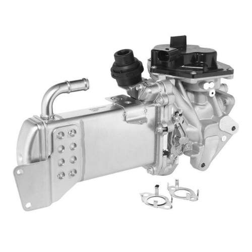 BorgWarner AGR-Modul 712003D