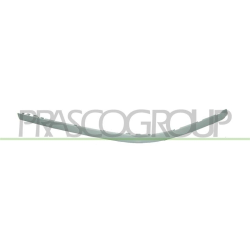 PRASCO Zier-/Schutzleiste, Sto&szlig;f&auml;nger PremiumCertified BM0451237