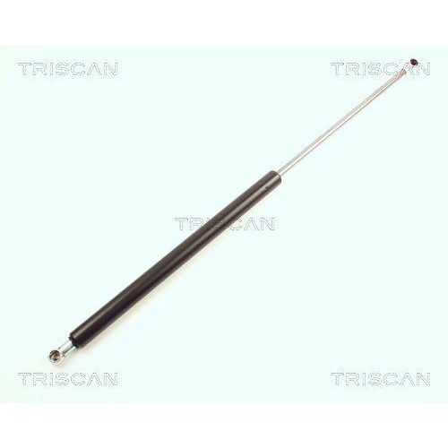 TRISCAN Gasfeder, Koffer-/Laderaum 8710 25223