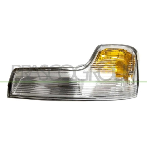 PRASCO Blinkleuchte FT9507415