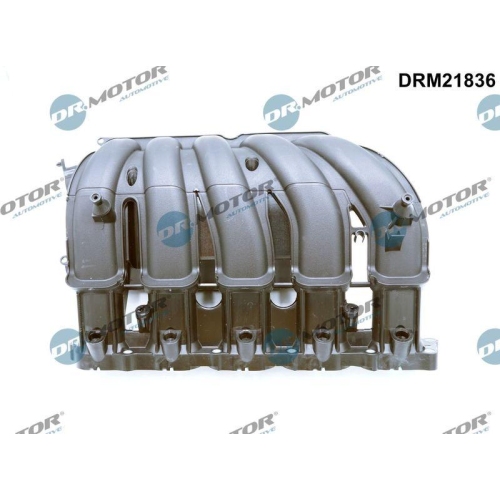 Dr.Motor Automotive Saugrohrmodul DRM21836