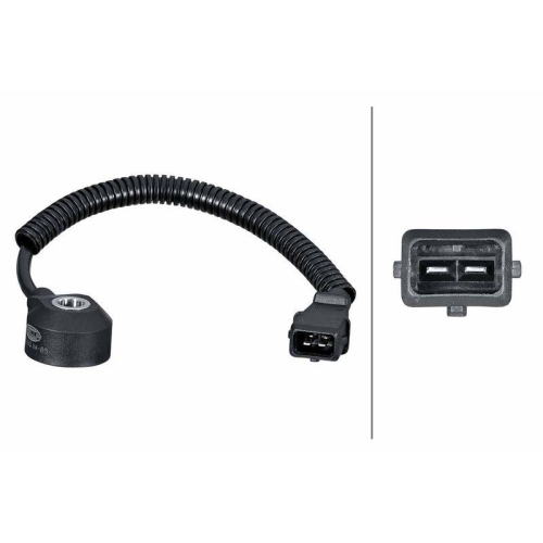 HELLA Klopfsensor 6PG 013 114-851