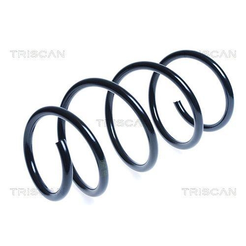 TRISCAN Fahrwerksfeder 8750 13162