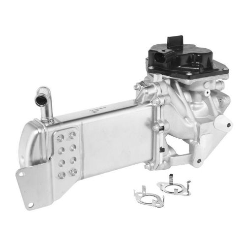 BorgWarner AGR-Modul 712086D