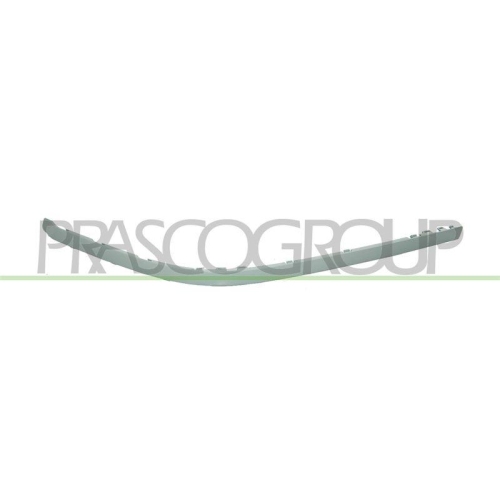 PRASCO Zier-/Schutzleiste, Sto&szlig;f&auml;nger PremiumCertified BM0451238