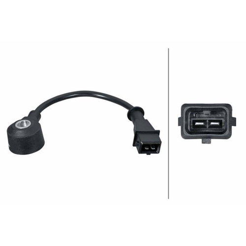 HELLA Klopfsensor 6PG 013 114-861