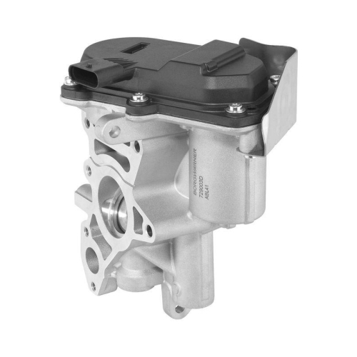 BorgWarner AGR-Ventil 729003D