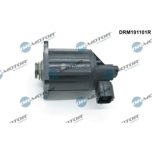 Dr.Motor Automotive AGR-Ventil DRM191101R