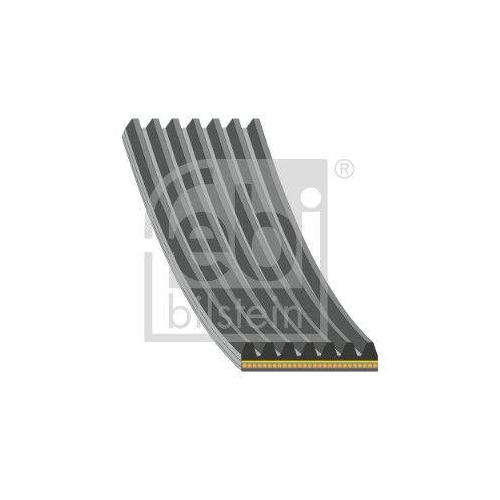 FEBI BILSTEIN Keilrippenriemen