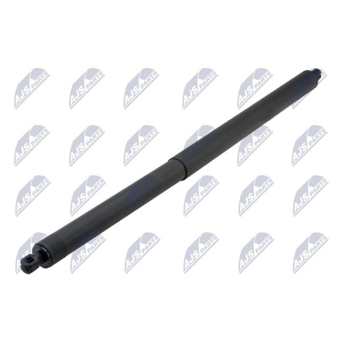 NTY Gasfeder, Koffer-/Laderaum AE-CH-063