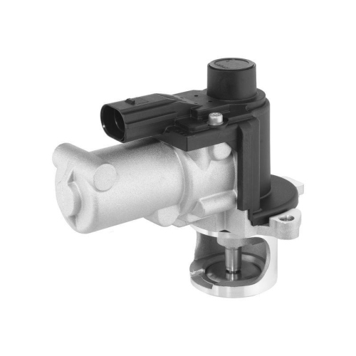 BorgWarner AGR-Ventil 729022D