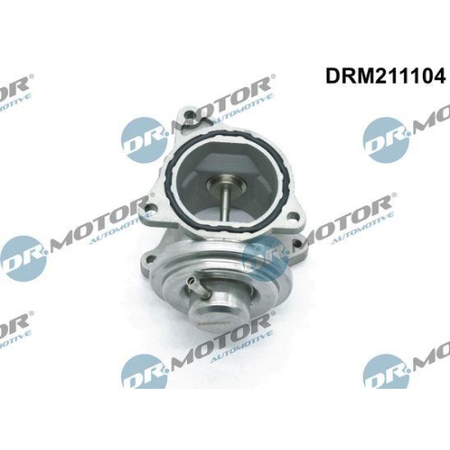 Dr.Motor Automotive AGR-Ventil DRM211104