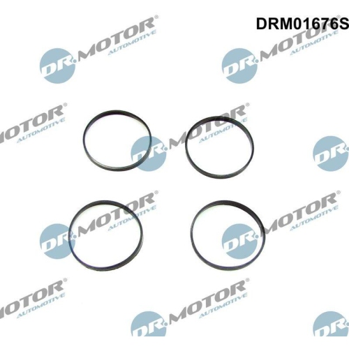 Dr.Motor Automotive Dichtungssatz, Ansaugkr&uuml;mmer DRM01676S