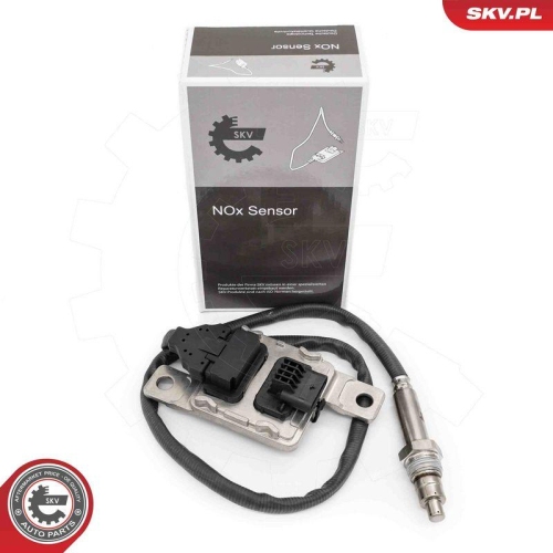 ESEN SKV NOx-Sensor, NOx-Katalysator