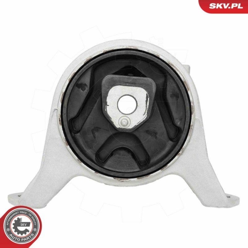 ESEN SKV Lagerung, Motor 75SKV024