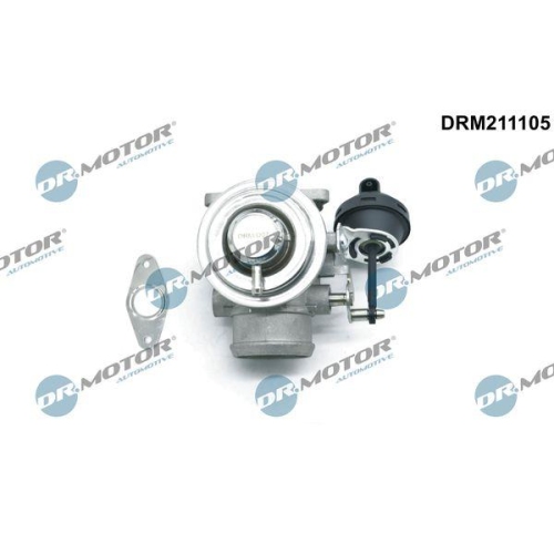 Dr.Motor Automotive AGR-Ventil DRM211105