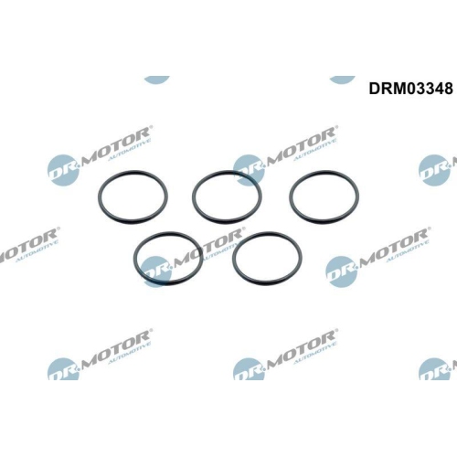 Dr.Motor Automotive Dichtring, Ladeluftschlauch DRM03348