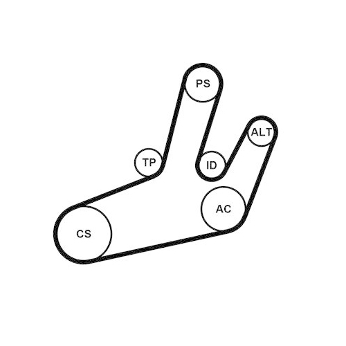 CONTINENTAL CTAM Keilrippenriemensatz 6PK1780K1