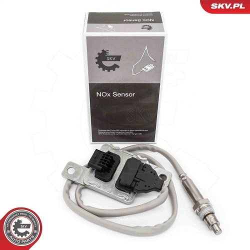 ESEN SKV NOx-Sensor, Harnstoffeinspritzung