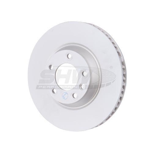 SHW Performance Bremsscheibe