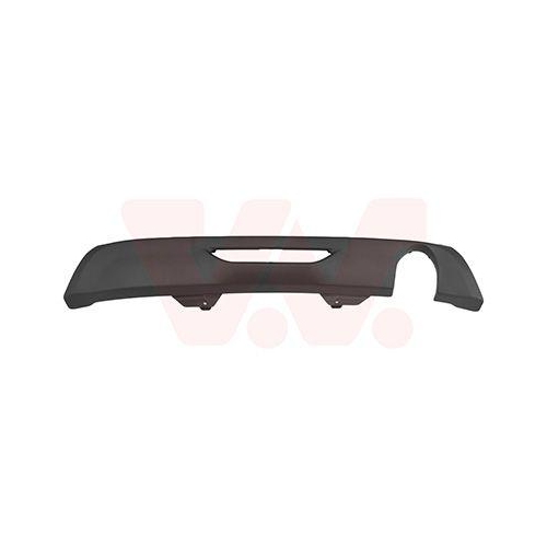 VAN WEZEL Spoiler 3805509