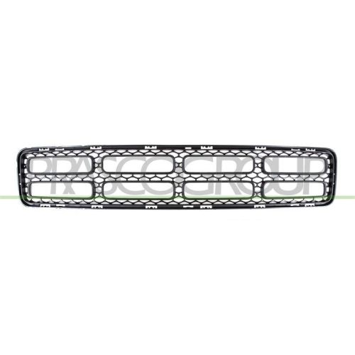 PRASCO L&uuml;ftungsgitter, Sto&szlig;f&auml;nger FT1252120