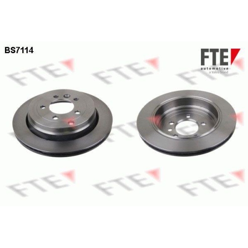 FTE Bremsscheibe 9071239