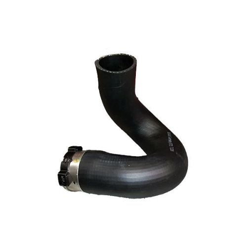 BUGIAD Ladeluftschlauch 81724