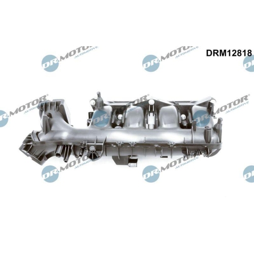 Dr.Motor Automotive Saugrohrmodul DRM12818