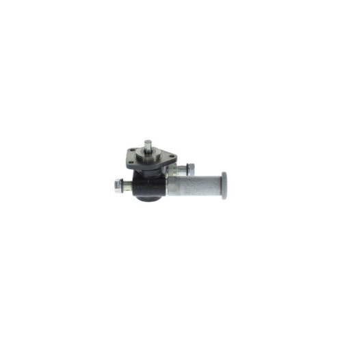 BOSCH Kraftstoffpumpe H 105 220 725