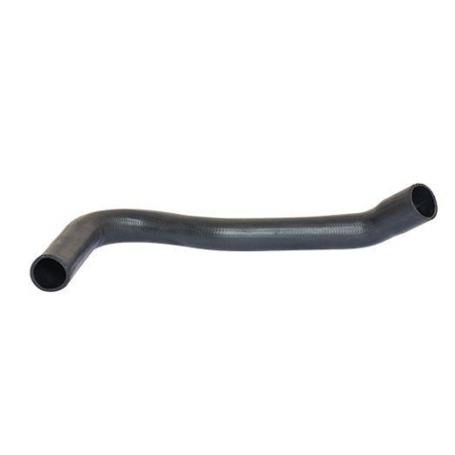 BUGIAD Ladeluftschlauch 88687