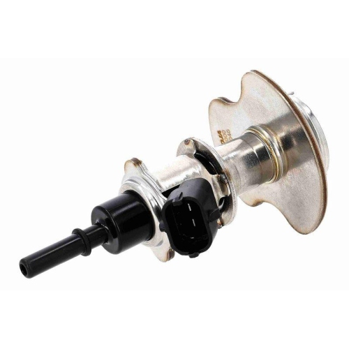 ACKOJA Dosiermodul, Harnstoffeinspritzung Green Mobility Parts