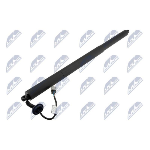 NTY Gasfeder, Koffer-/Laderaum AE-FR-065