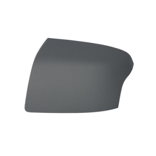 BLIC Geh&auml;use, Au&szlig;enspiegel 6103-01-1351399P