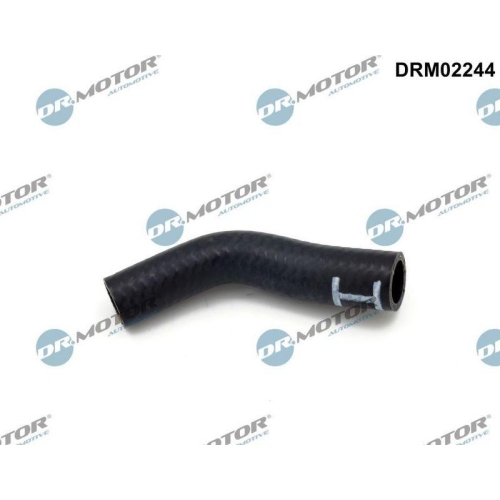 Dr.Motor Automotive &Ouml;lleitung, Lader DRM02244