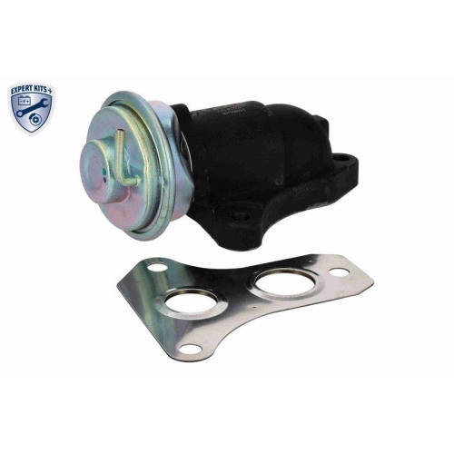 ACKOJA AGR-Ventil EXPERT KITS +