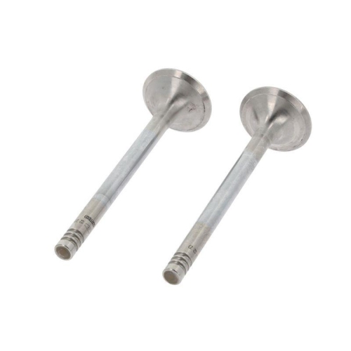 CORTECO Auslassventil 550768B