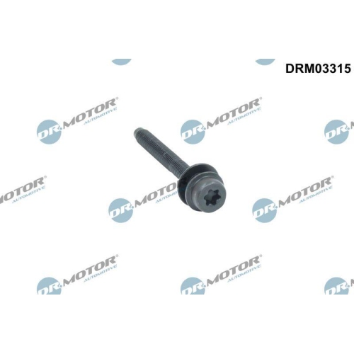 Dr.Motor Automotive Schraube, Einspritzd&uuml;senhalter DRM03315