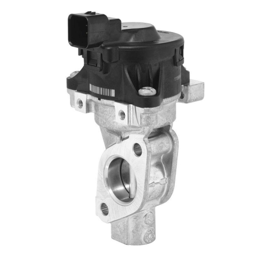 BorgWarner AGR-Ventil OE-Version/Erstausr&uuml;stung 710358D