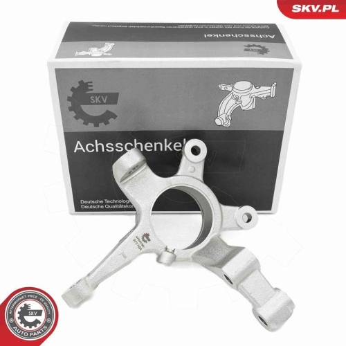 ESEN SKV Achsschenkel, Radaufhängung