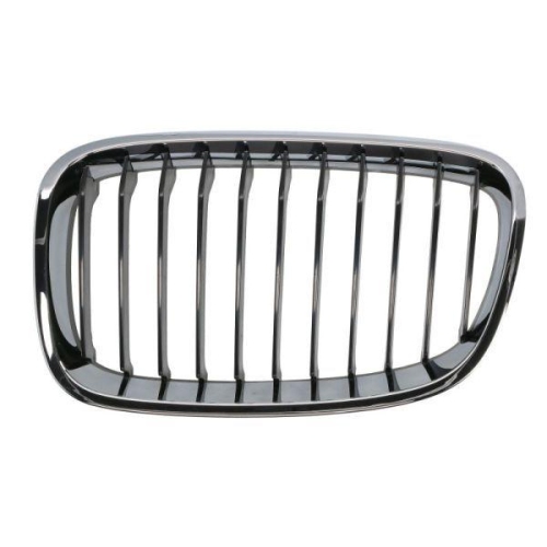 BLIC Kühlergitter 6502-07-0086991P