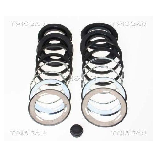 TRISCAN Reparatursatz, Bremssattel 8170 204213