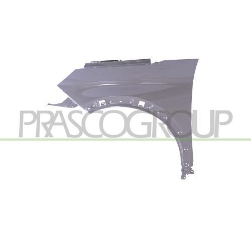 PRASCO Kotfl&uuml;gel PG5243004