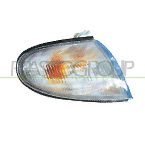 PRASCO Lichtscheibe, Blinkleuchte TYC HN0104015
