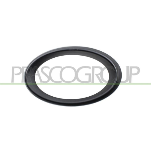 PRASCO Rahmen, Nebelscheinwerfer ME0411244