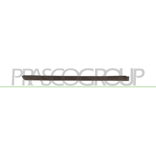 PRASCO Zier-/Schutzleiste, T&uuml;r VG0201453