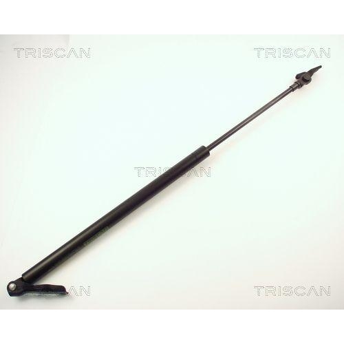TRISCAN Gasfeder, Koffer-/Laderaum 8710 13262