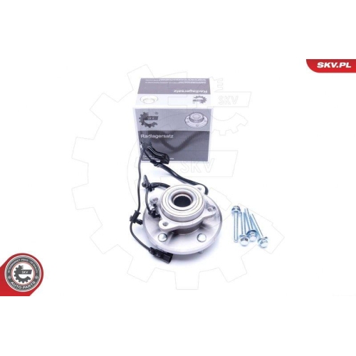 ESEN SKV Radlagersatz